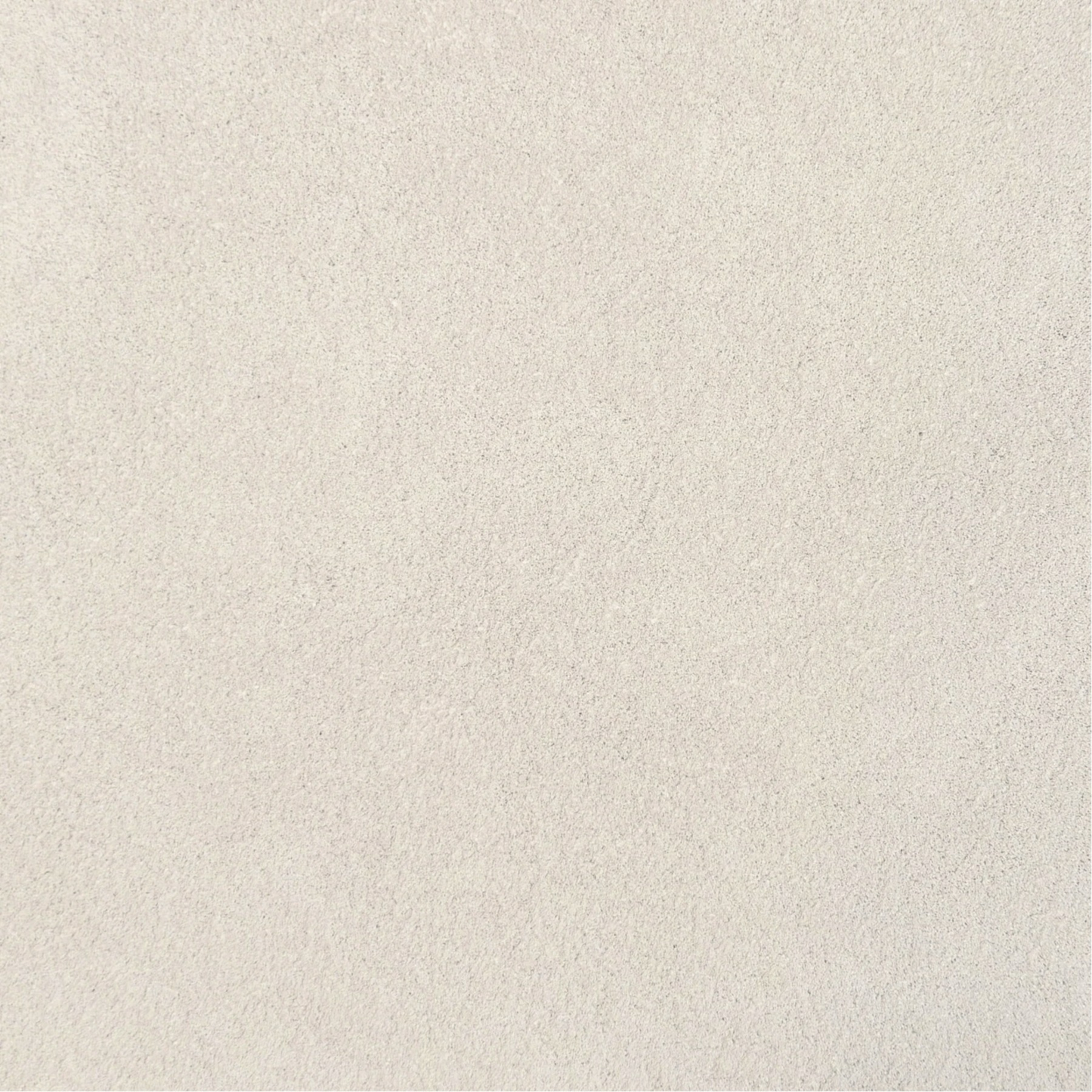 Solid light gray color swatch